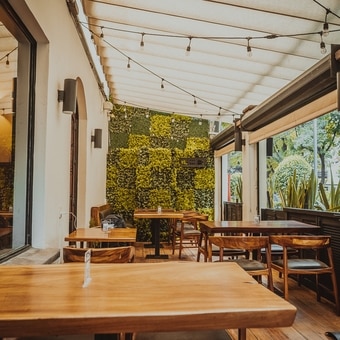 Restaurant D'Amico Polanco 5
