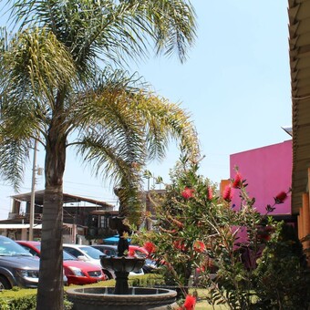 Restaurant Las Espuelas Casa Blanca - foto 4