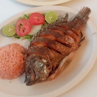 Mariscos Marín Urbivilla del Prado 5