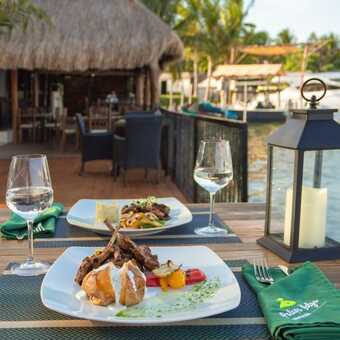 Restaurante La Palapa Belga Cancún 9