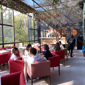 Enrico Caruso Ristorante Coyoacán 13