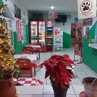 La Guarida del Kmaleon Tonalá 12