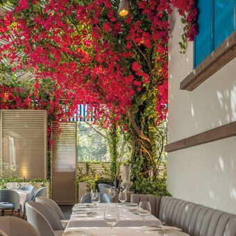 Restaurante Karpos Polanco - foto 4