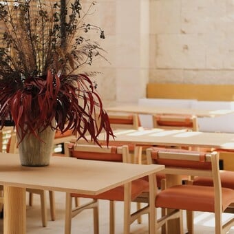 Restaurante Los Trompos de Niich Condesa 7
