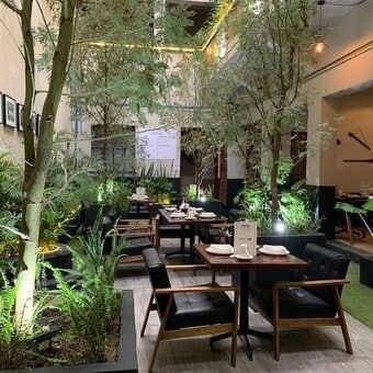 Restaurante Mérida 50 Roma Norte