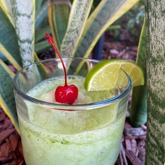 Moskito Sport Bar & Restaurante Holbox 6