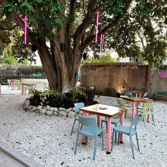 Restaurante Cola De Gallo Campeche 5