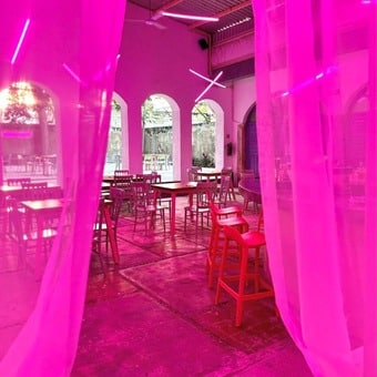 Restaurante Cola De Gallo Campeche - foto 3