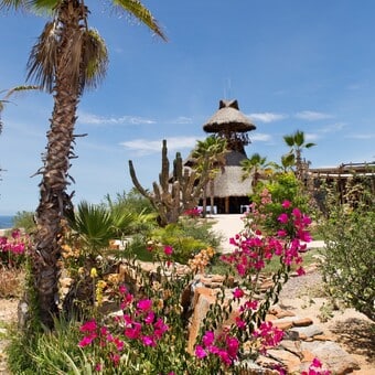 Restaurante El Mirador Todos Santos 10