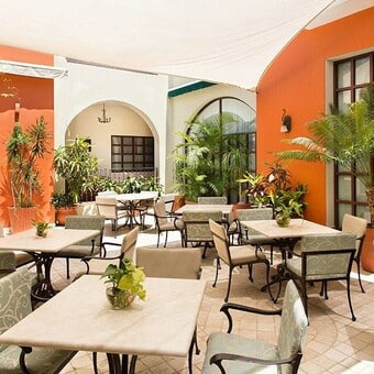 Restaurante El Jardín Café Todos Santos 5