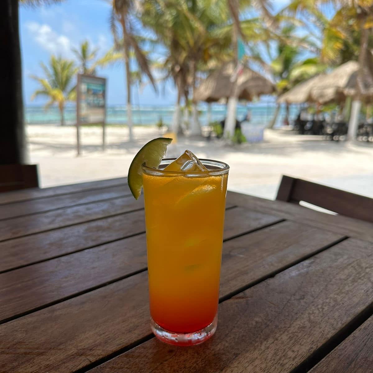 Restaurante Sulumar Mahahual 10
