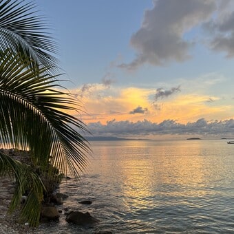Restaurante Zicatela Punta De Mita 11