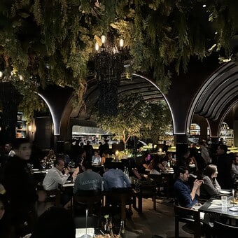 Restaurante Colmillo Artz Pedregal 7