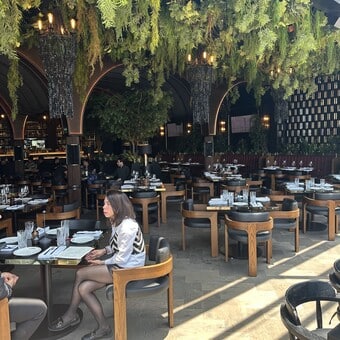 Restaurante Colmillo Artz Pedregal 5
