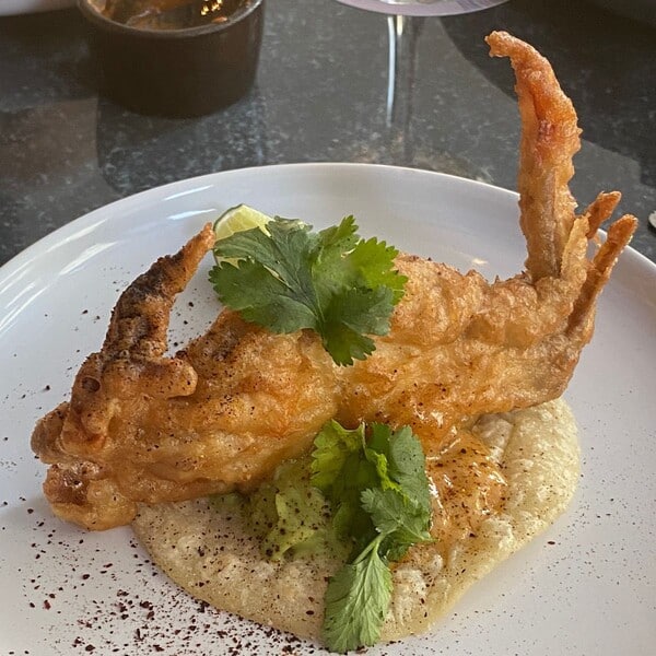 Restaurante BRUMA Tampico 8