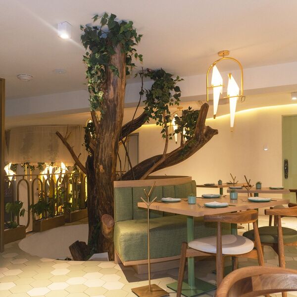 Restaurante Txori Cocina Libre Villahermosa 9