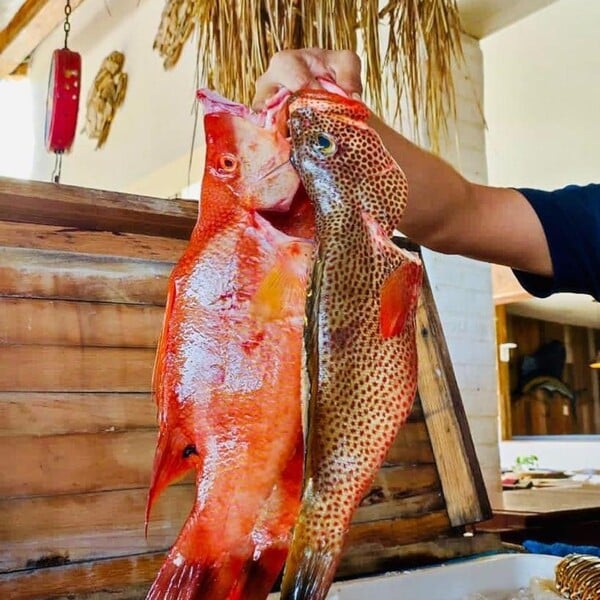 Restaurante Muelle Once Puerto Morelos 13