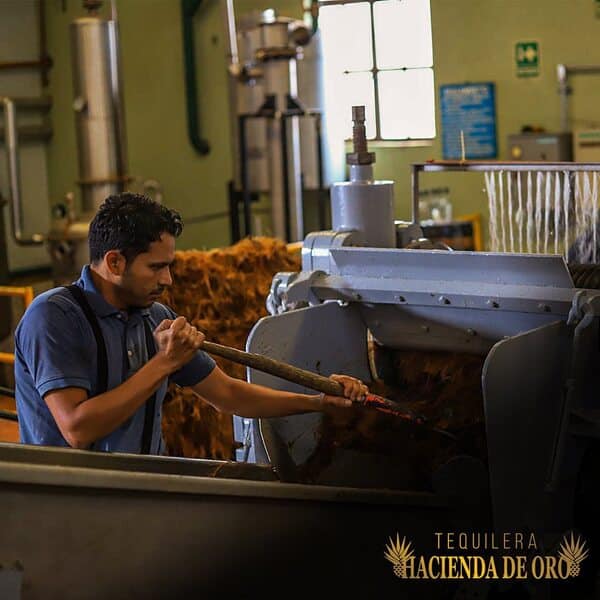 Tequilera Hacienda de Oro Amatitán 9