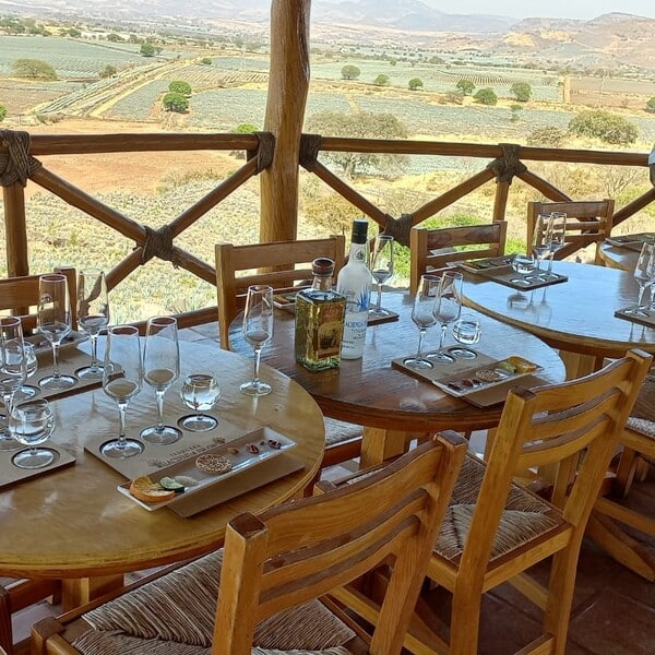 Tequilera Hacienda de Oro Amatitán 5