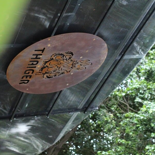 Restaurante Thaiger Guadalajara 8